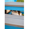 caat